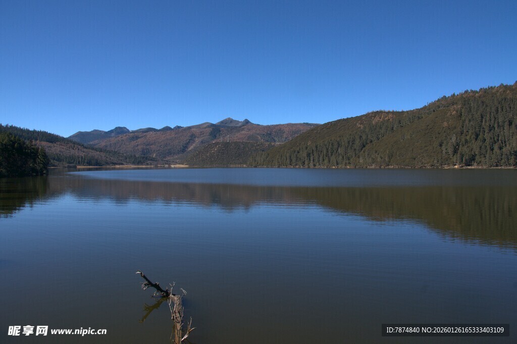 普达措森林公园