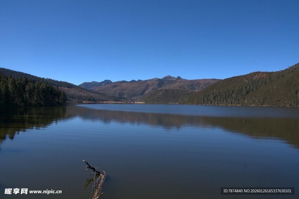 普达措森林公园