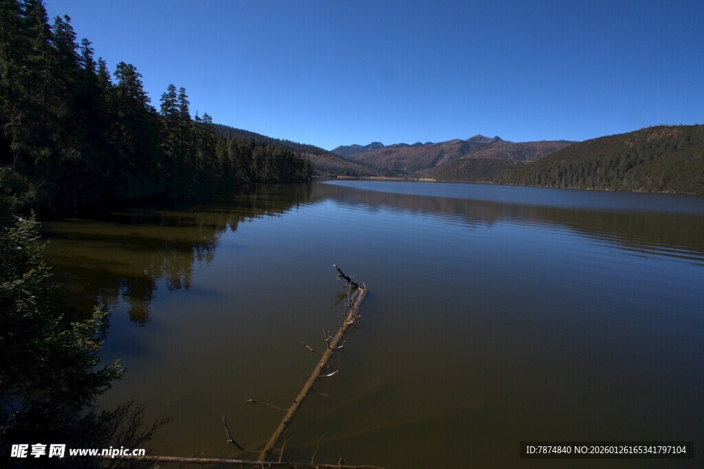 普达措森林公园