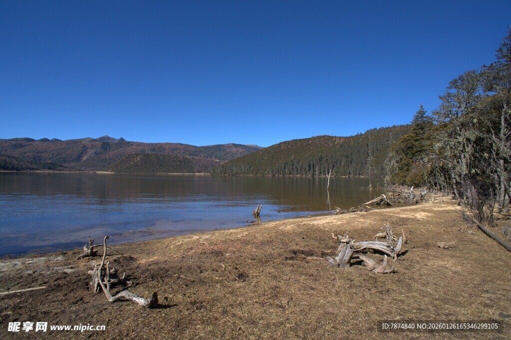 普达措森林公园