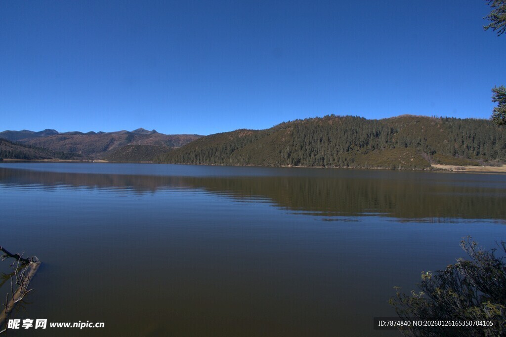 普达措森林公园