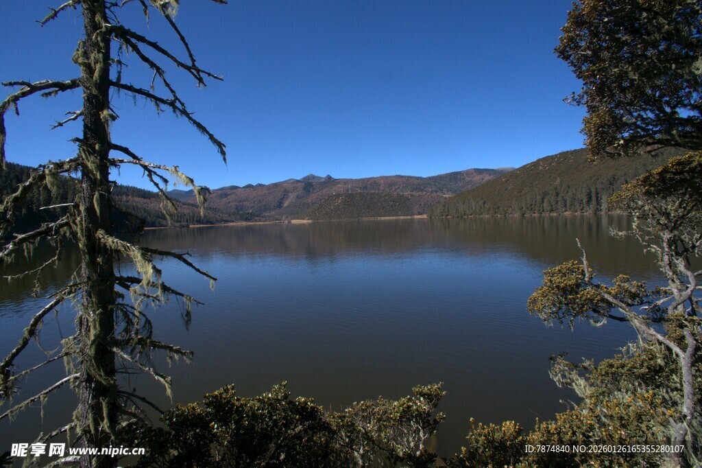 普达措森林公园