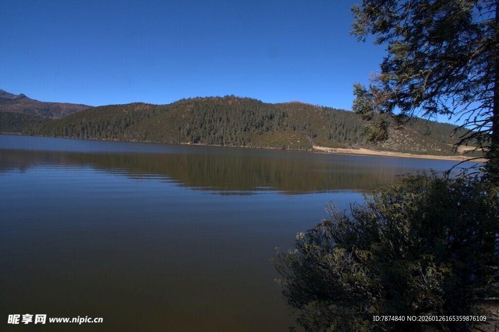 普达措森林公园