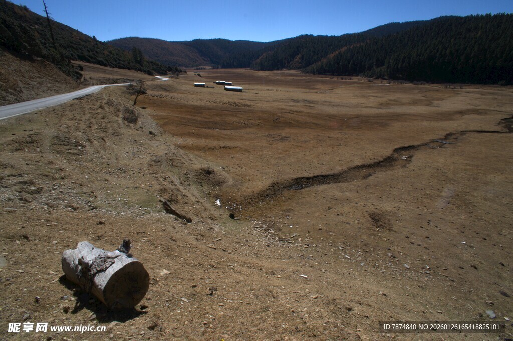 普达措森林公园