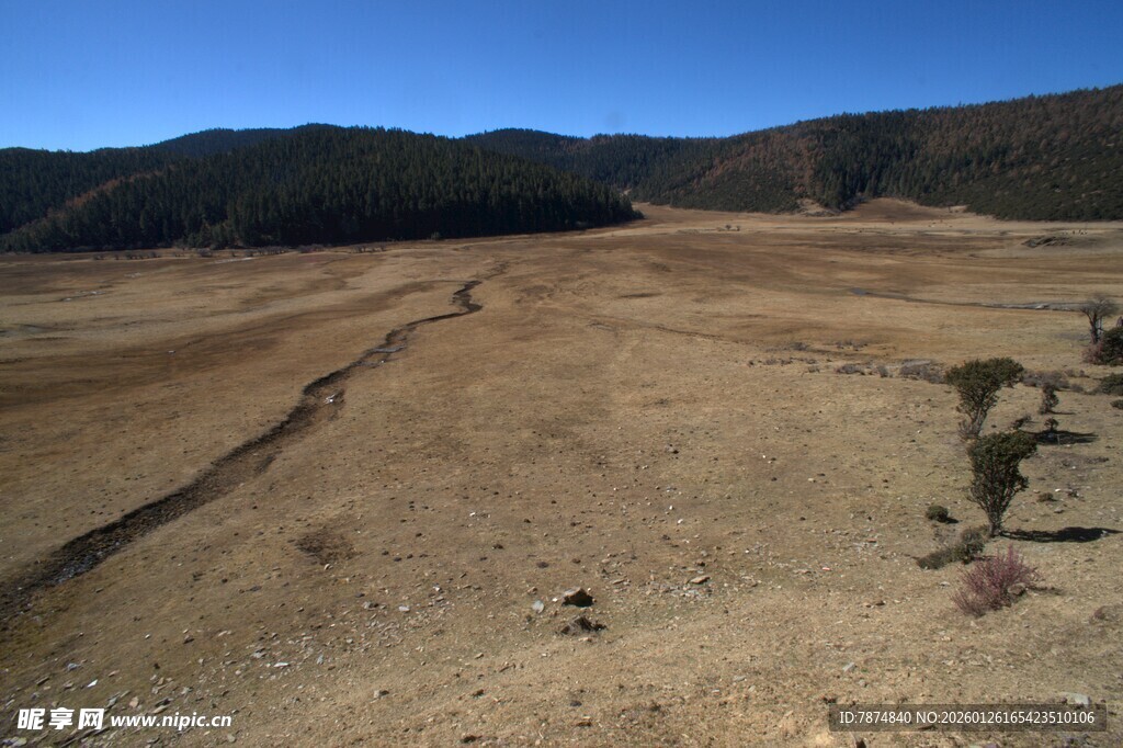 普达措森林公园