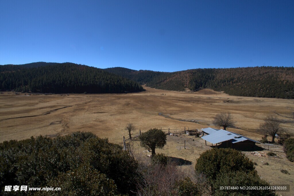 普达措森林公园