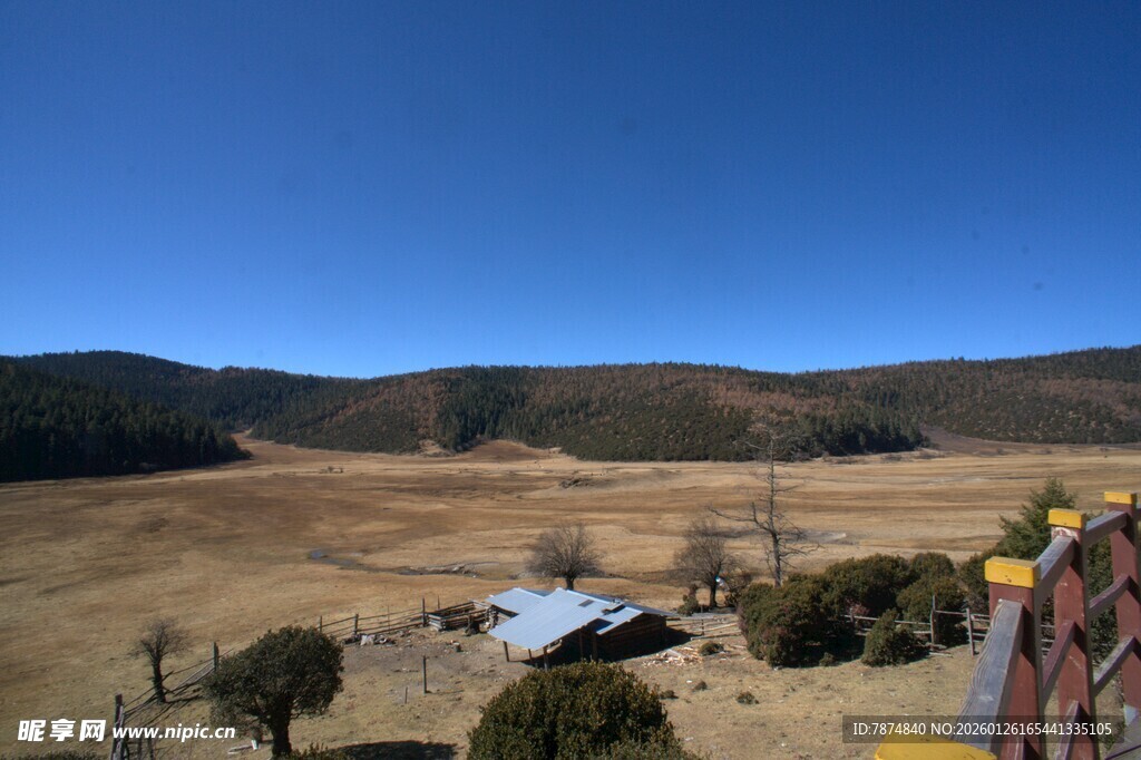 普达措森林公园