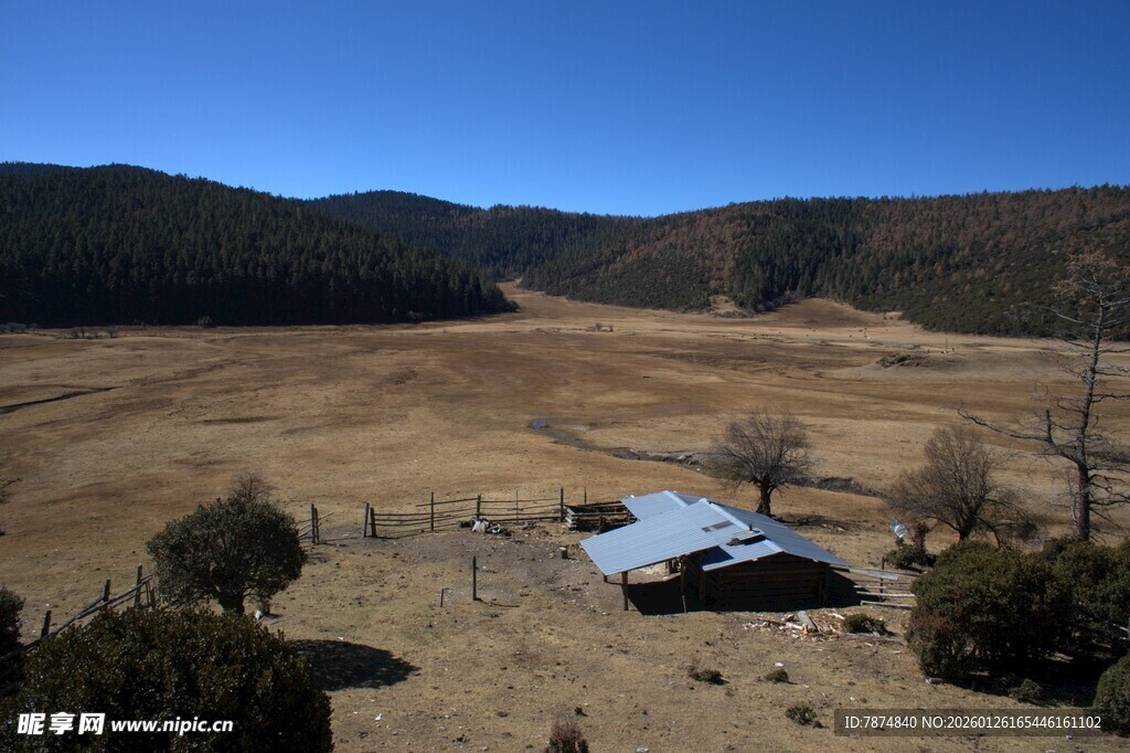 普达措森林公园