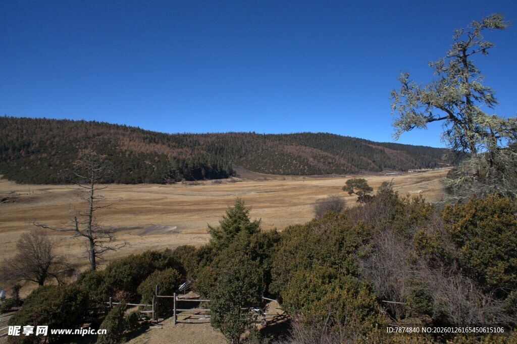 普达措森林公园