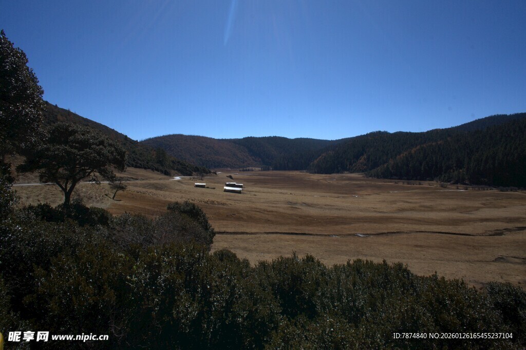 普达措森林公园