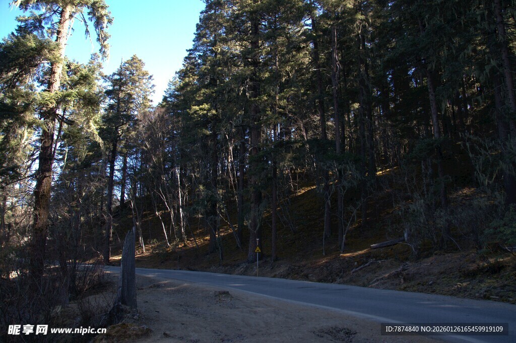 普达措森林公园