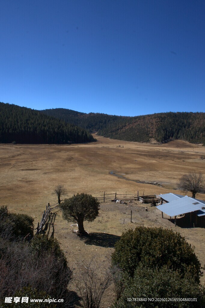 普达措森林公园