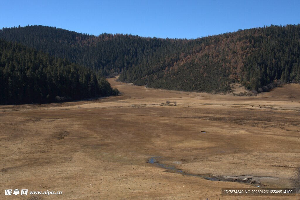 普达措森林公园