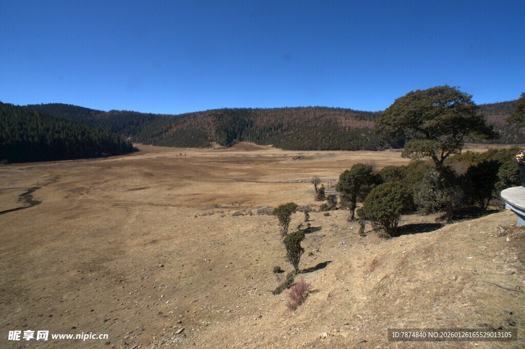 普达措森林公园