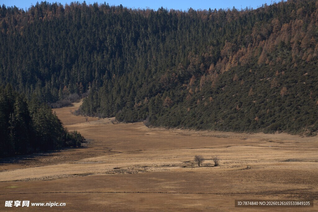 普达措森林公园