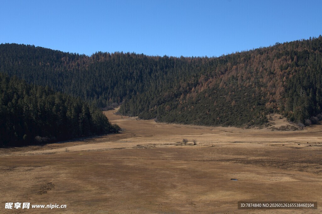 普达措森林公园