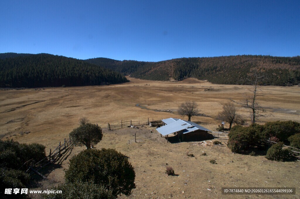 普达措森林公园