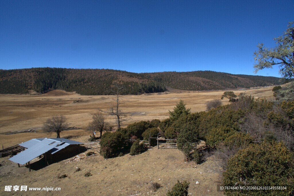 普达措森林公园