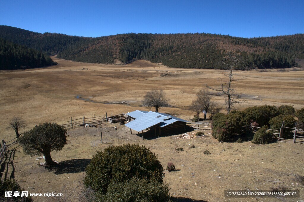 普达措森林公园