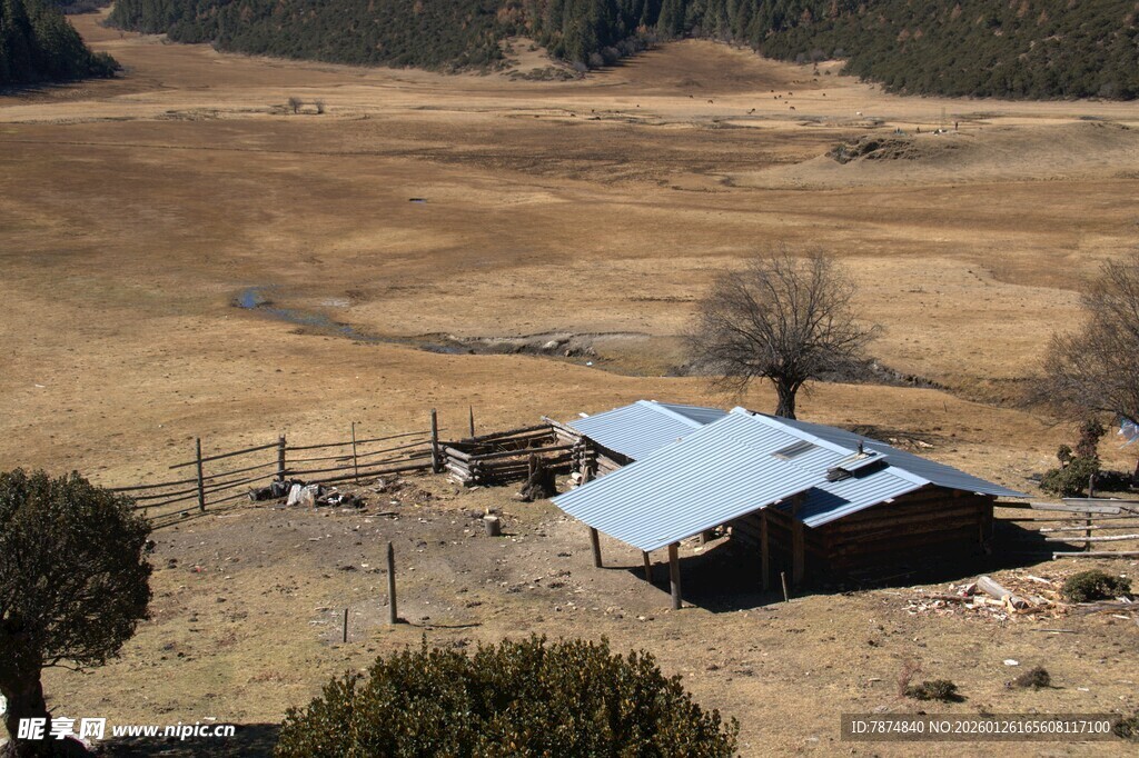 普达措森林公园