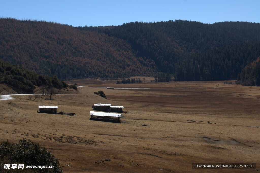 普达措森林公园