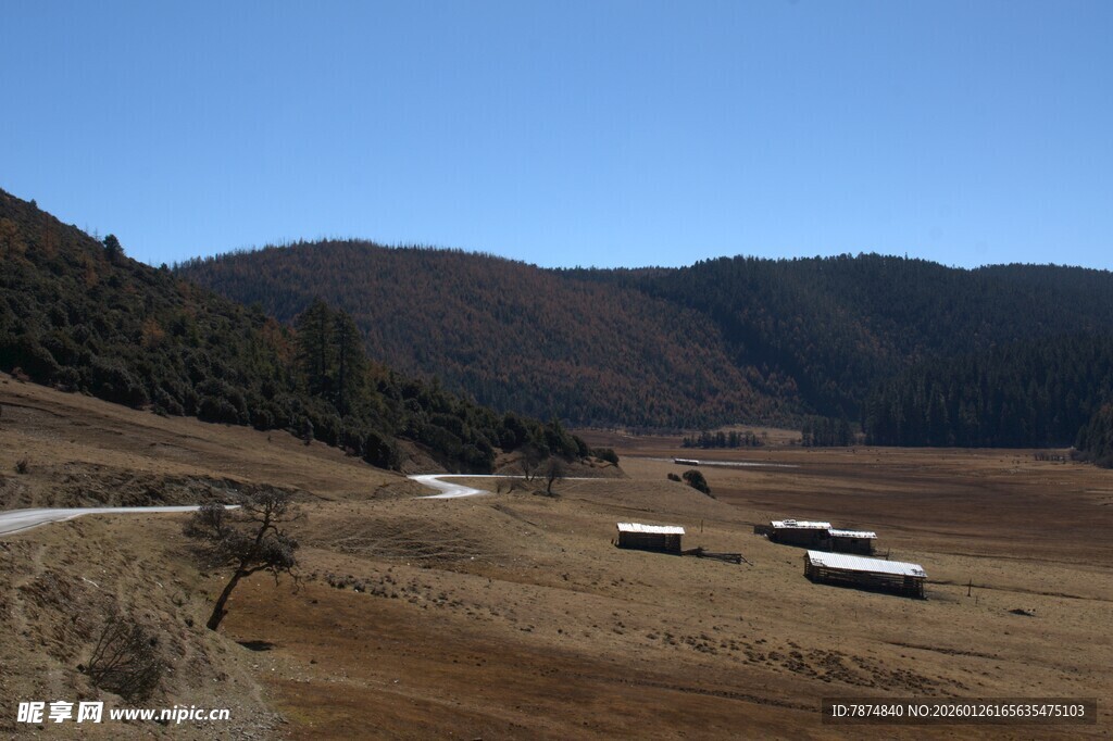 普达措森林公园