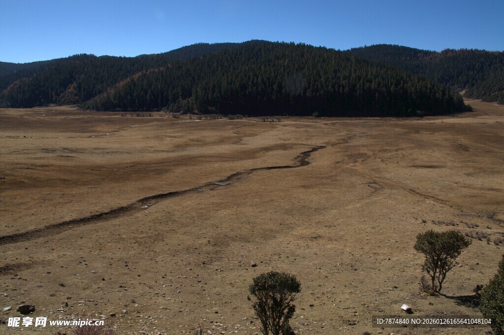 普达措森林公园