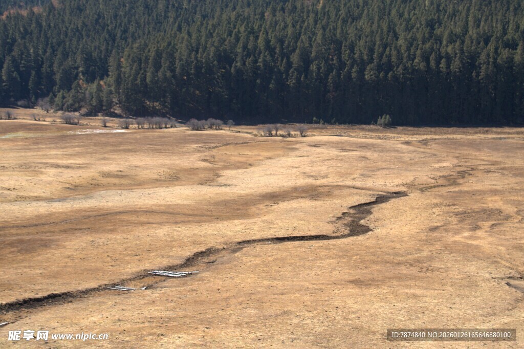 普达措森林公园
