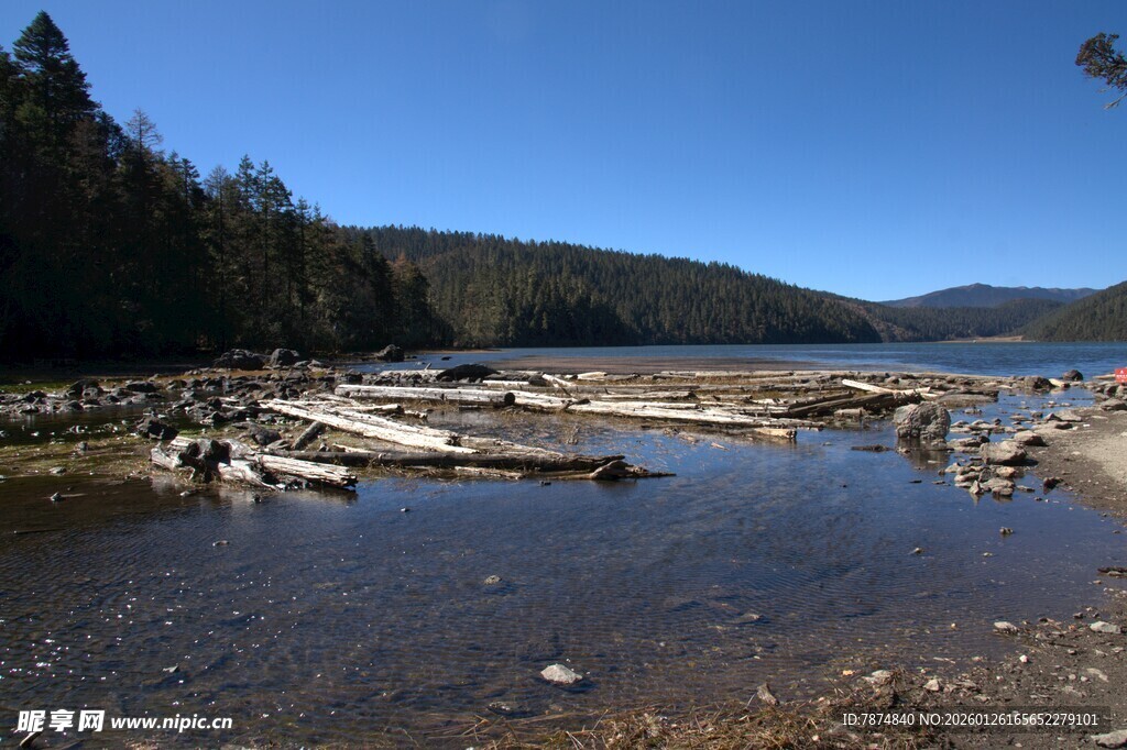 普达措森林公园