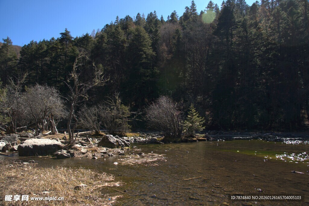 普达措森林公园