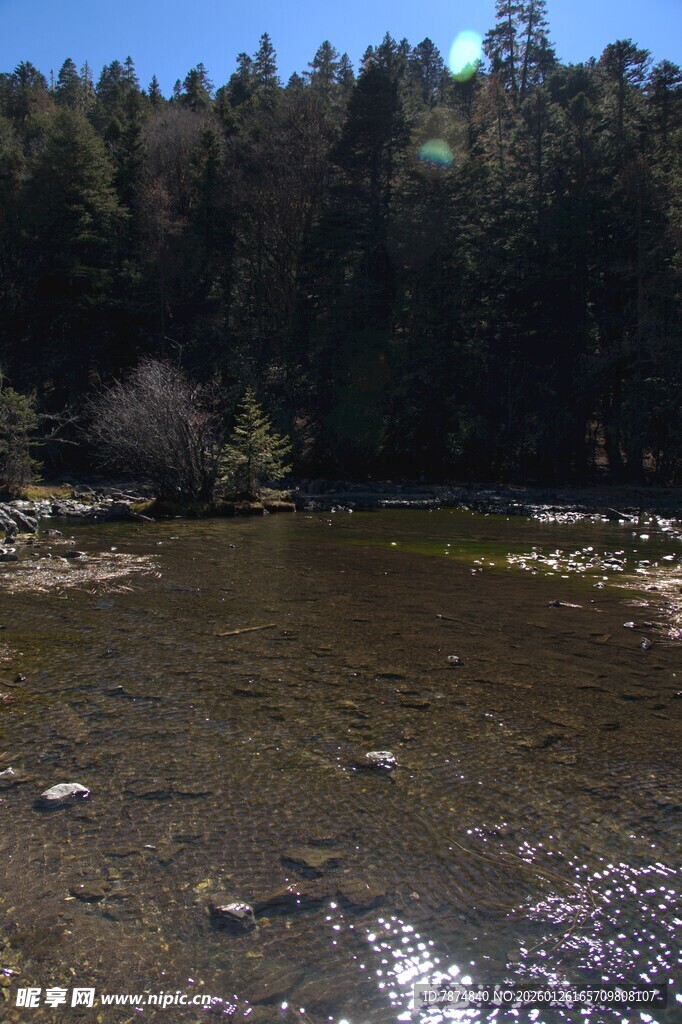 普达措森林公园