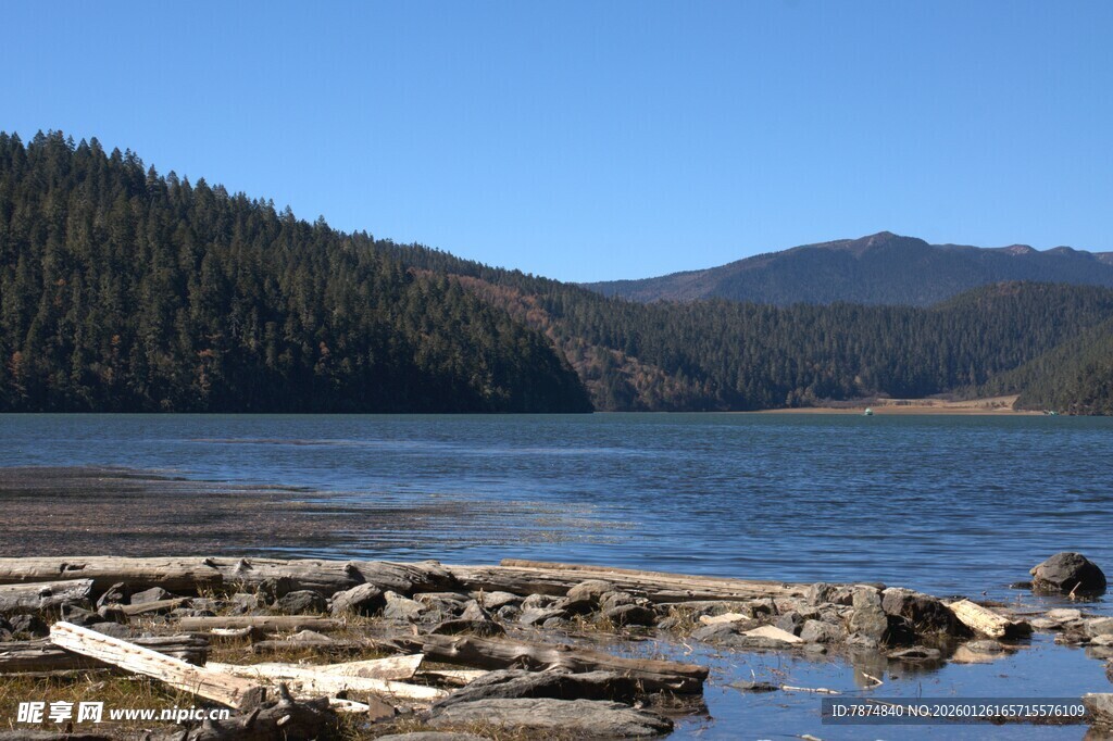 普达措森林公园