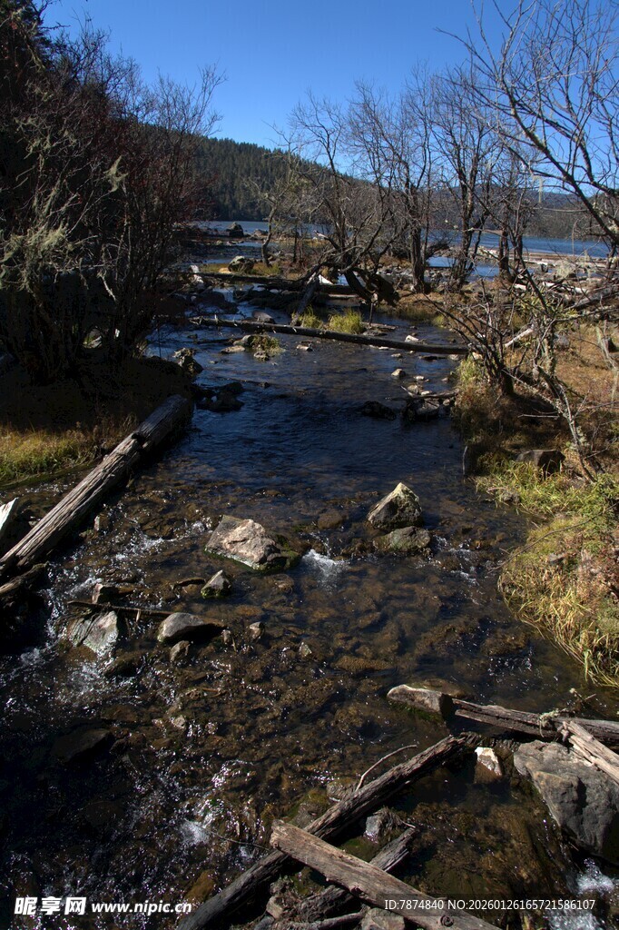 普达措森林公园