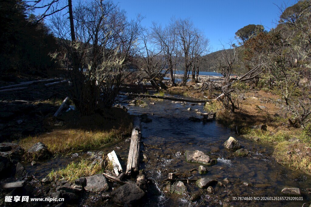 普达措森林公园