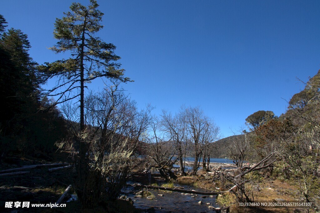 普达措森林公园