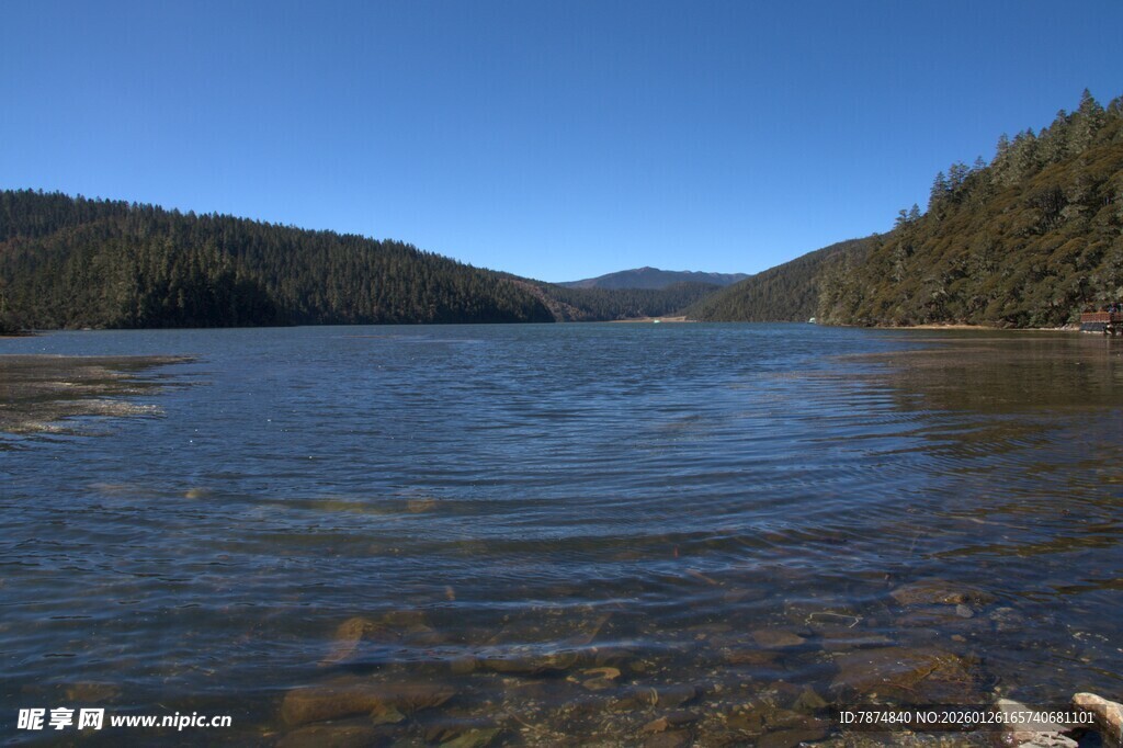 普达措森林公园