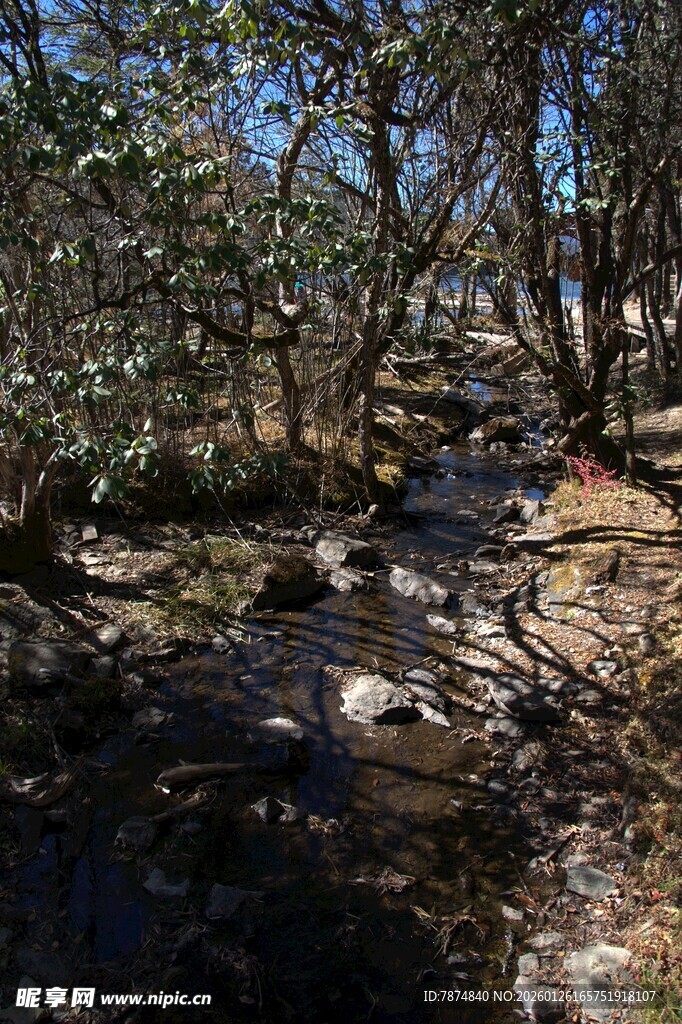 普达措森林公园