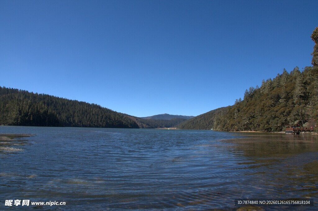 普达措森林公园