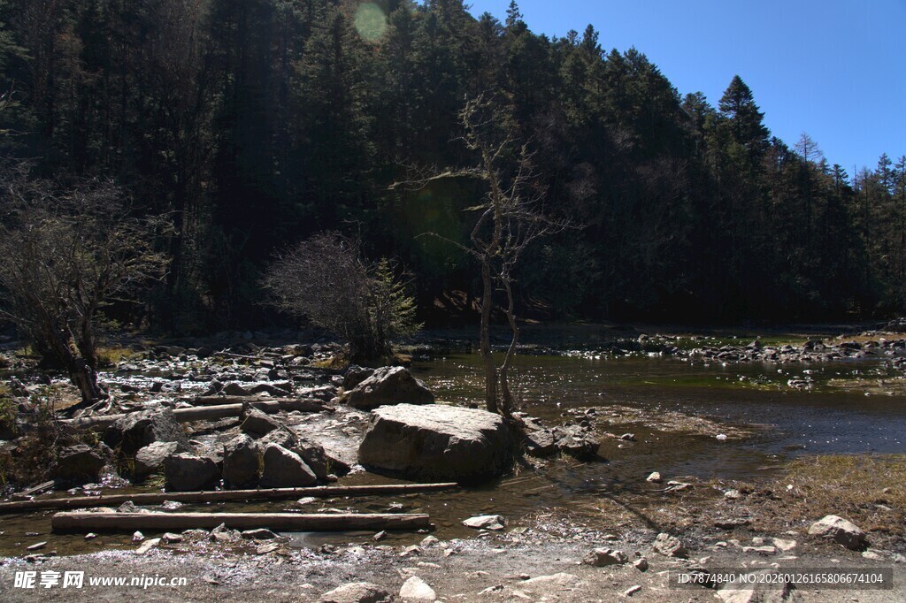 普达措森林公园