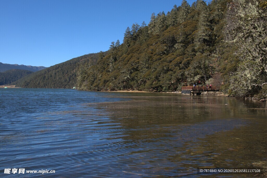普达措森林公园