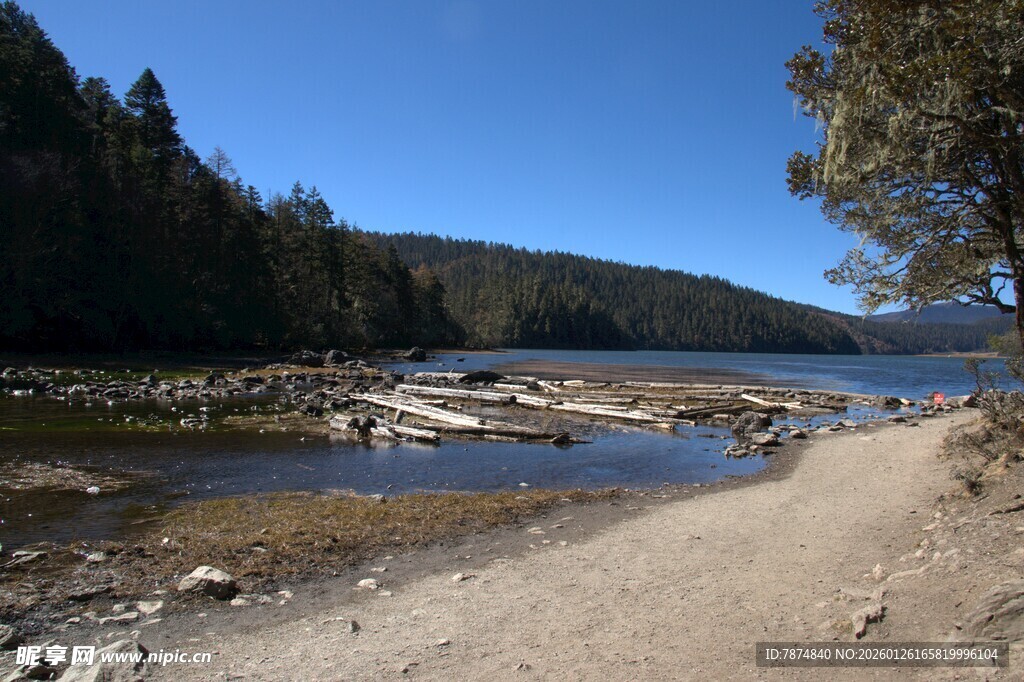 普达措森林公园