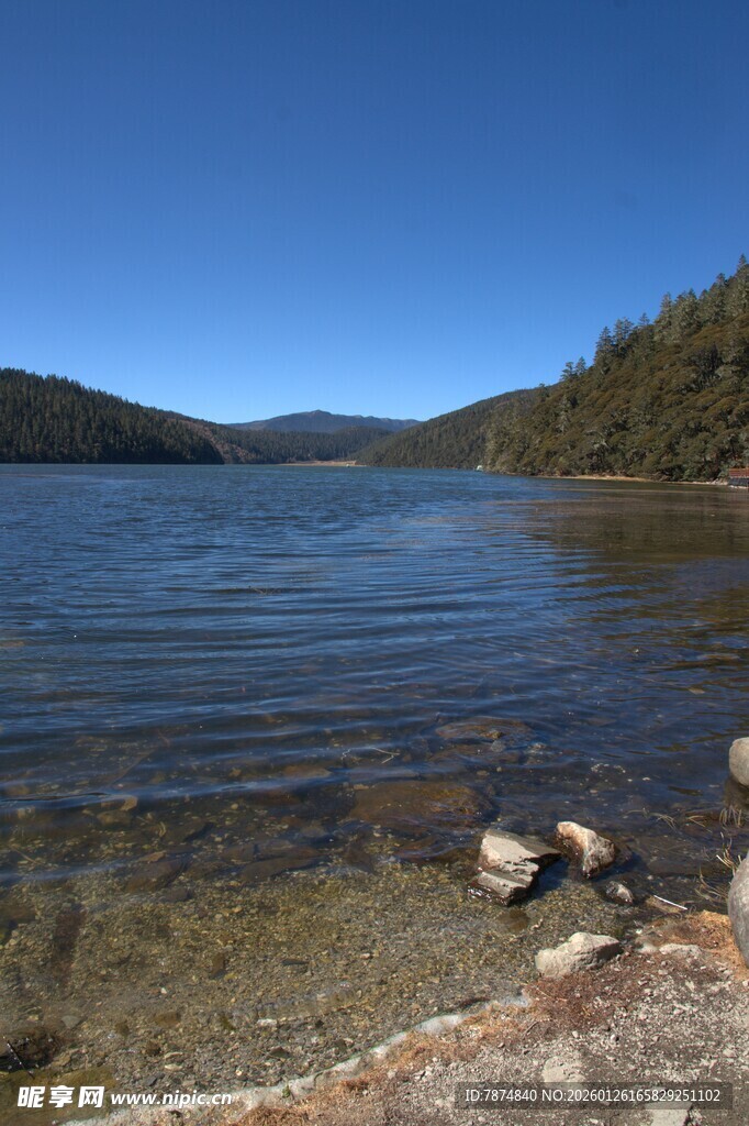 普达措森林公园