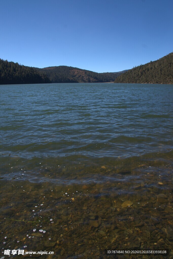 普达措森林公园