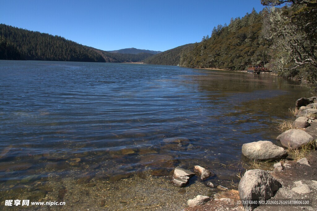 普达措森林公园
