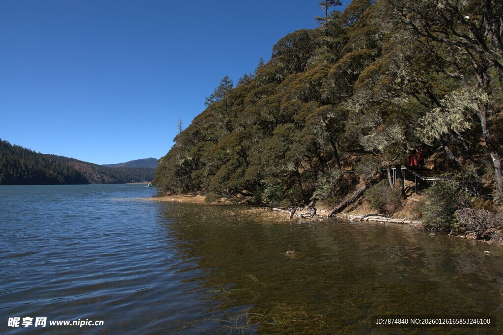 普达措森林公园