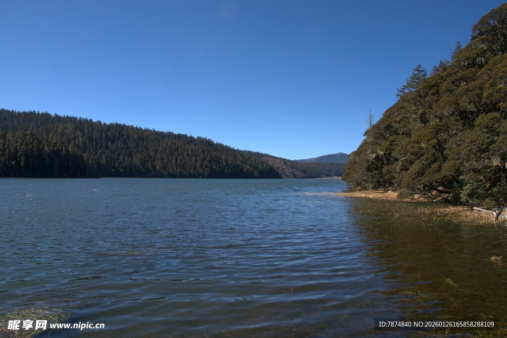 普达措森林公园