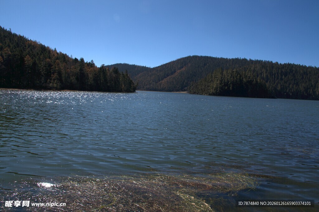 普达措森林公园