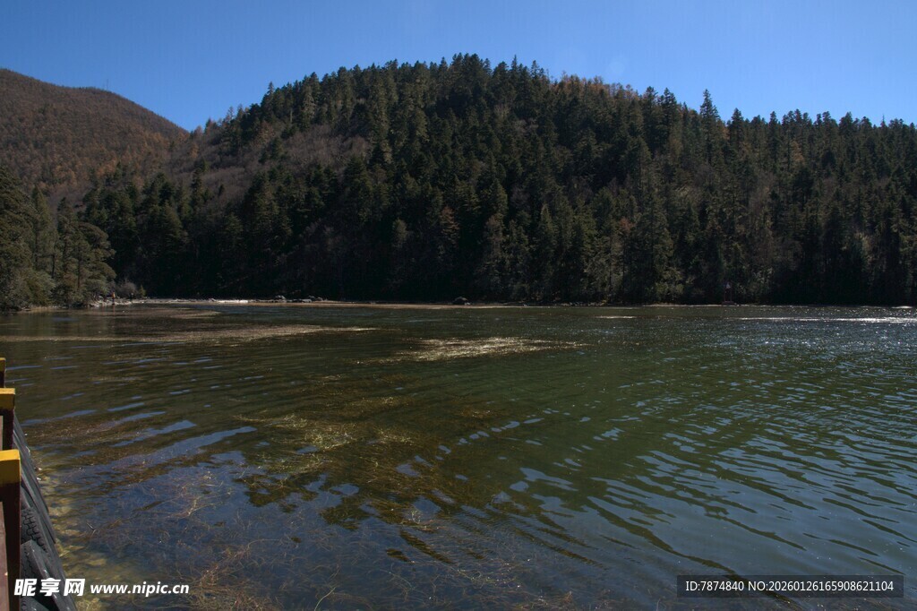 普达措森林公园