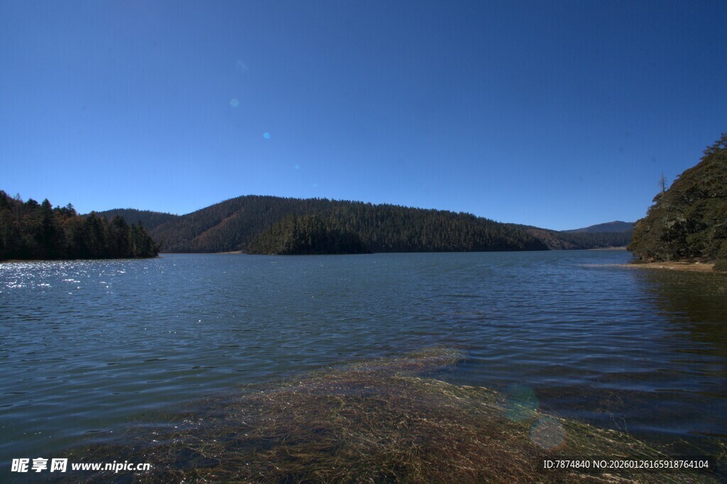 普达措森林公园