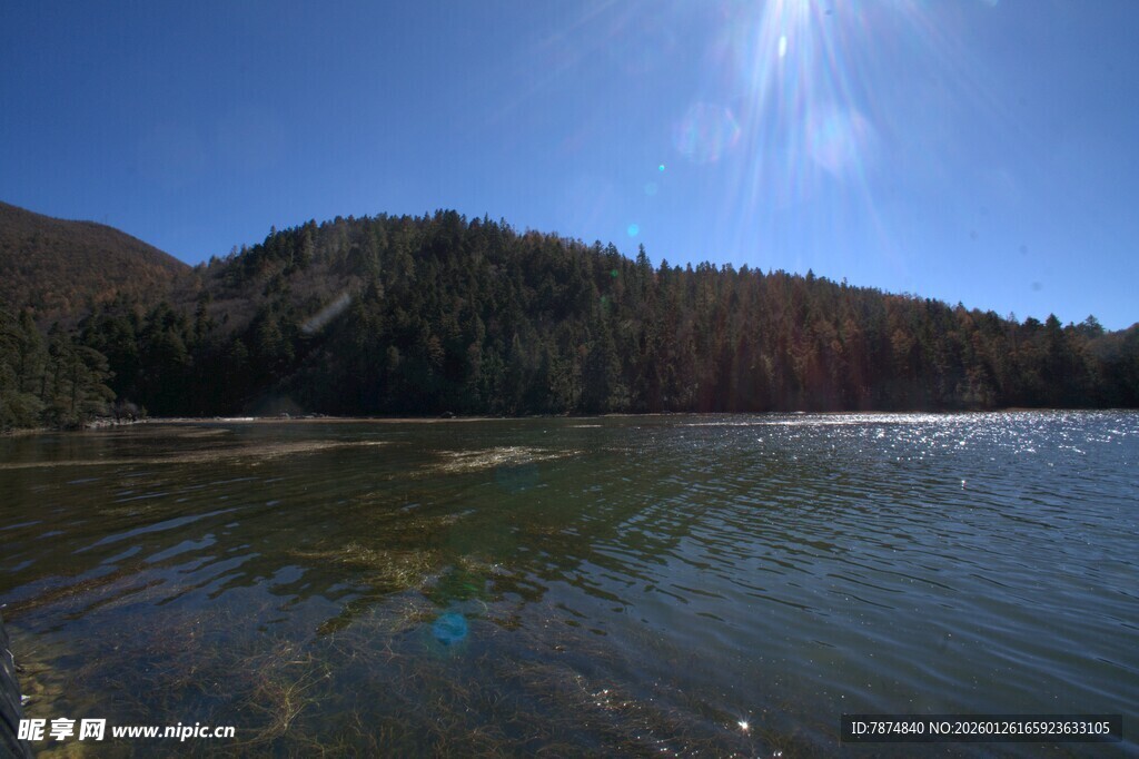 普达措森林公园